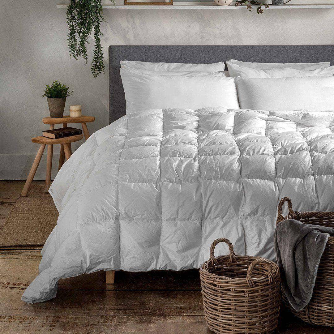 LUXURY COLLECTION DI MAESTRO Piumino Piazza e Mezza 155x220 750 Winter - Made in Italy - Amo La Casa Shop