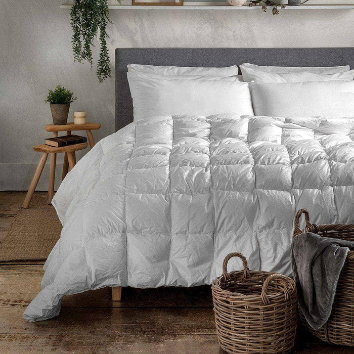 LUXURY COLLECTION DI MAESTRO Piumino Piazza e Mezza 155x220 750 Winter - Made in Italy - Amo La Casa Shop