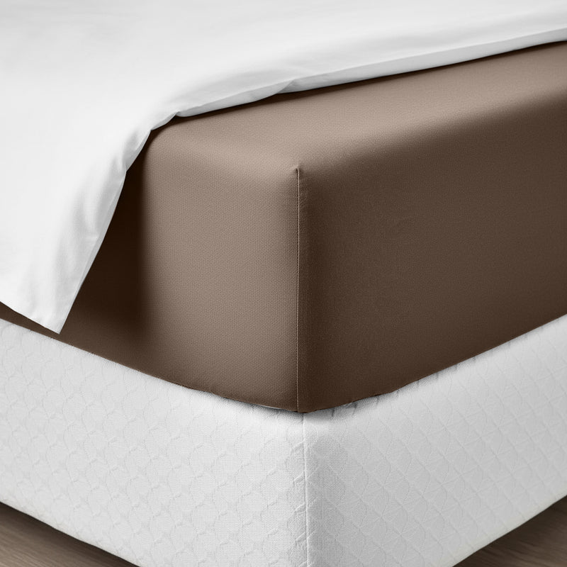 Happidea Lenzuolo Sotto con Angoli Singolo in Cotone Tinta Unita Biscotto