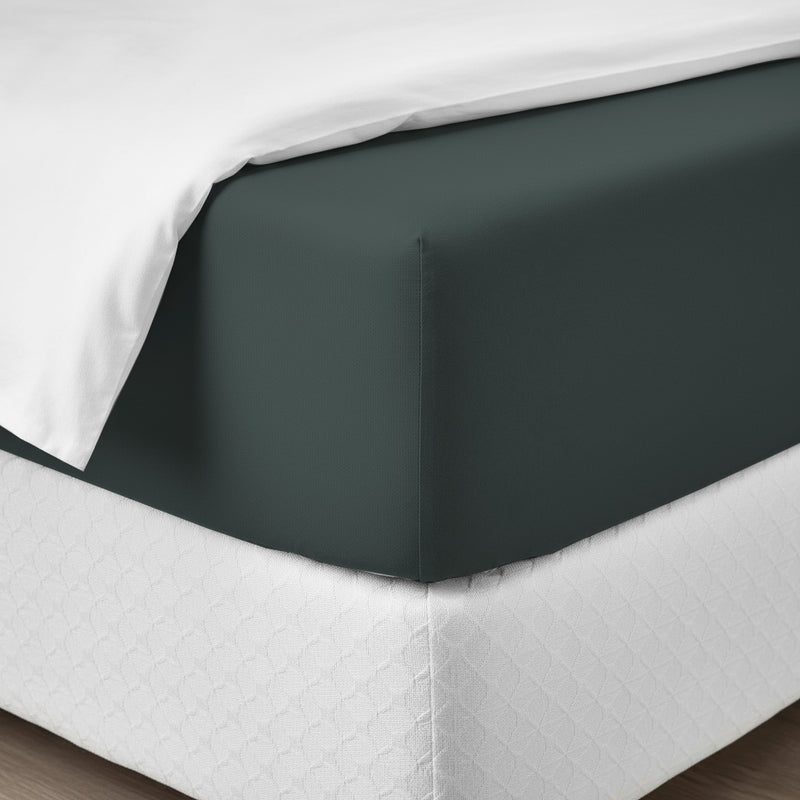 Happidea Lenzuolo Sotto con Angoli Singolo in Cotone Tinta Unita Foresta
