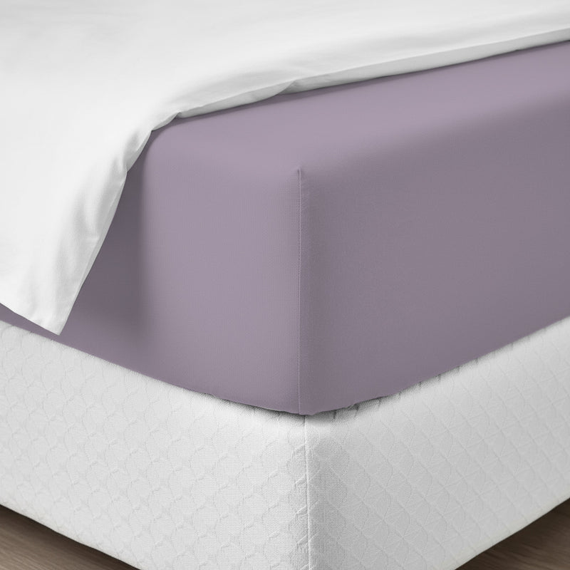 Happidea Lenzuolo Sotto con Angoli Singolo in Cotone Tinta Unita Glicine