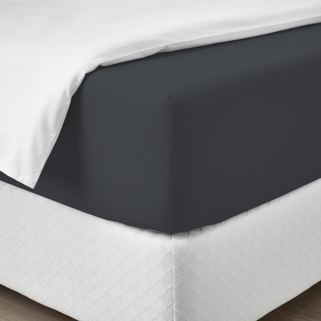 Happidea Lenzuolo Sotto con Angoli Singolo in Cotone Tinta Unita Grafite