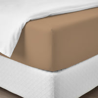 Happidea Lenzuolo Sotto con Angoli Matrimoniale in Cotone Tinta Unita Ochre
