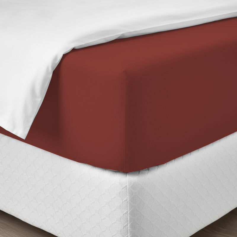 Happidea Lenzuolo Sotto con Angoli Singolo in Cotone Tinta Unita Argilla Bruciata