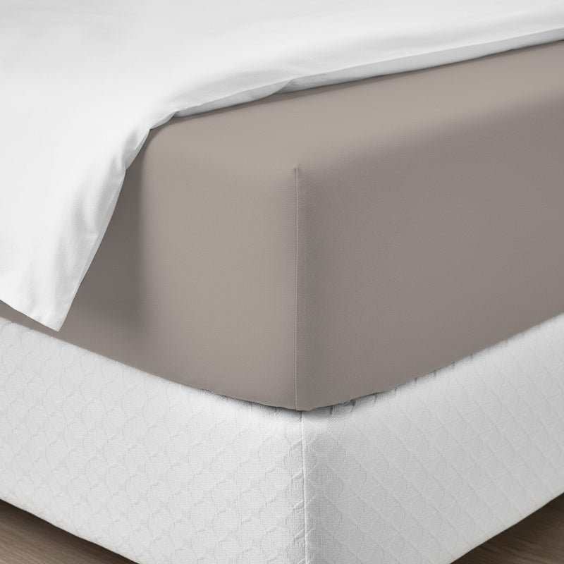 Happidea Lenzuolo Sotto con Angoli Singolo in Cotone Tinta Unita Sabbia